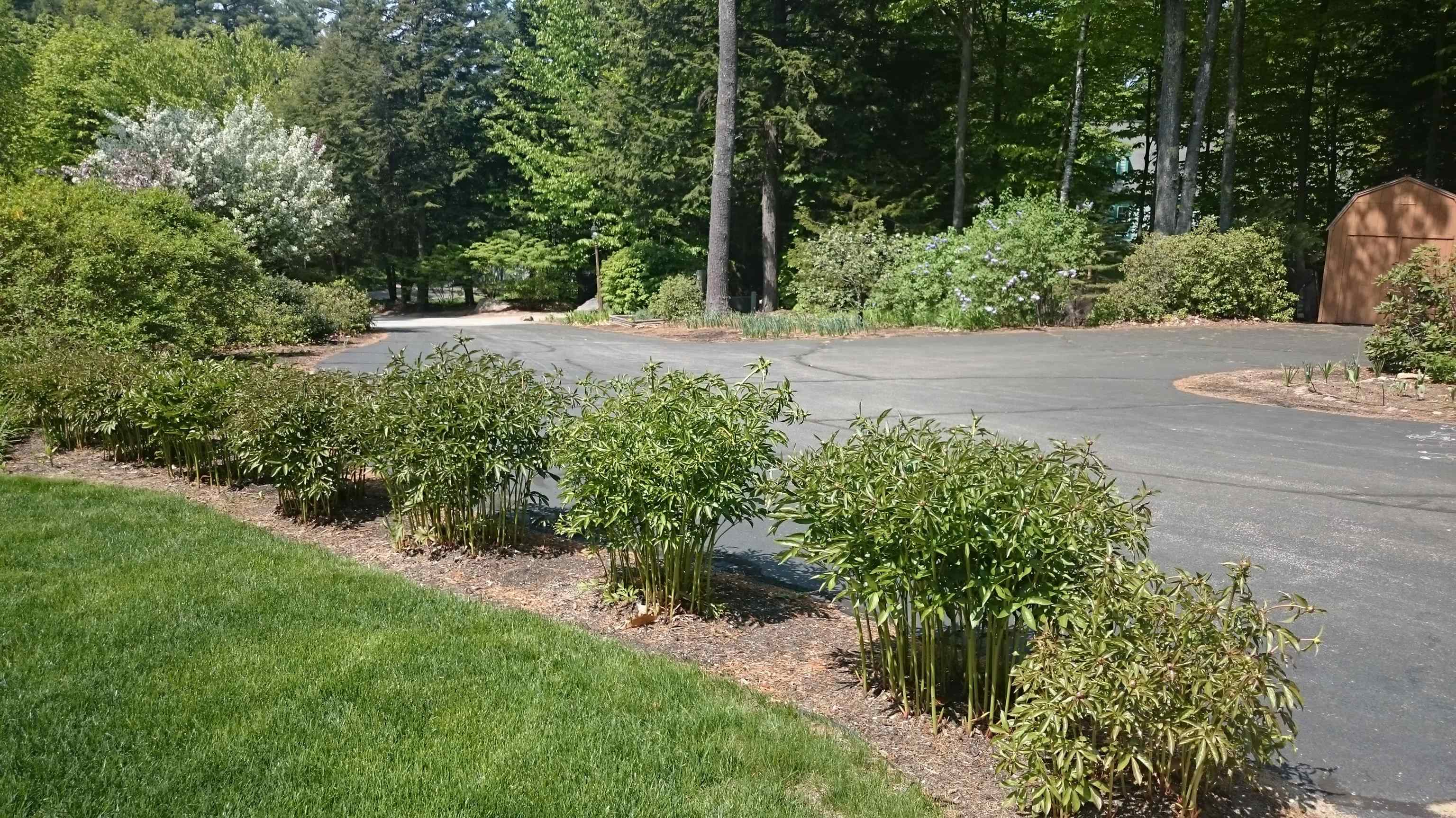 17 Forest Ring Drive Intervale, NH 03845 - Photo 37 of 39