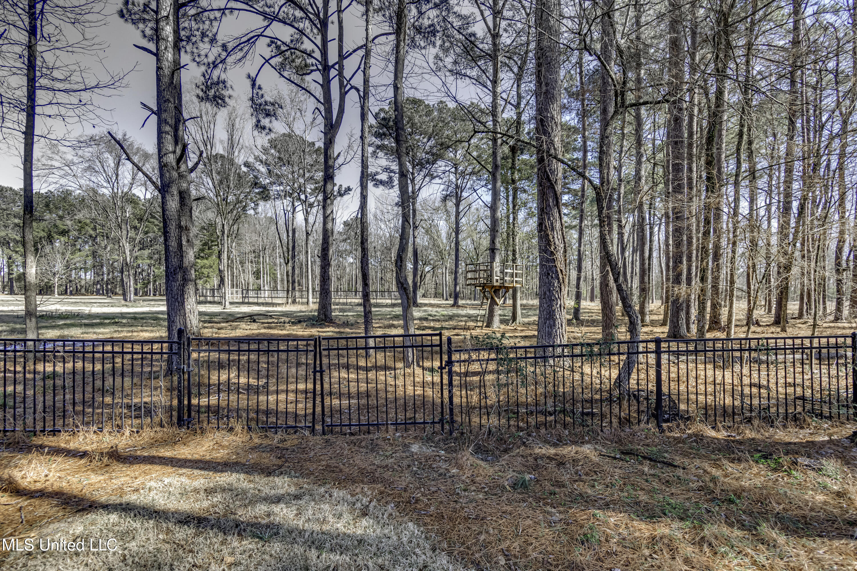 268 Sundial Road Madison, MS 39110 - Photo 82 of 88 268 Sundial Rd--21