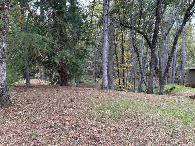 a view of a yard with trees