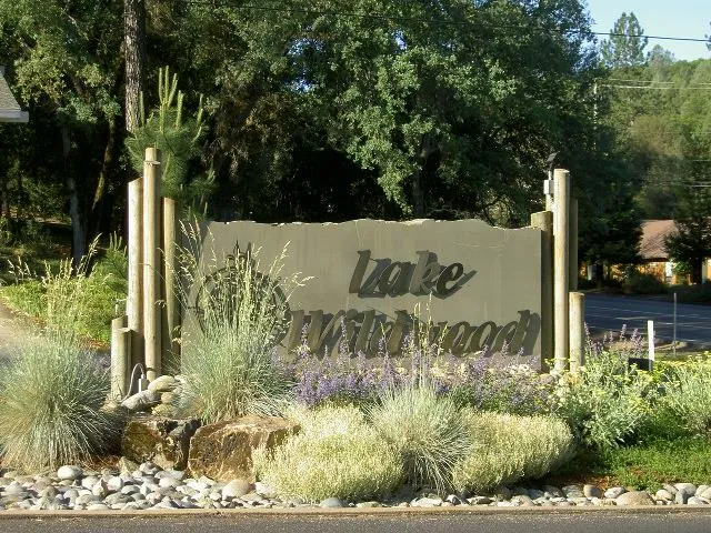 a view of a yard with large trees