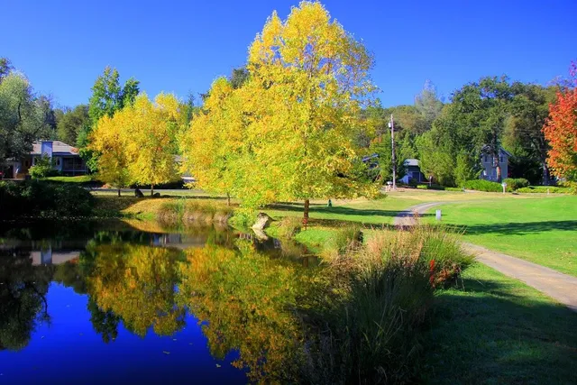 a view of a lake with a house in the background