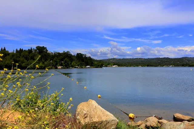 a view of a lake with a city