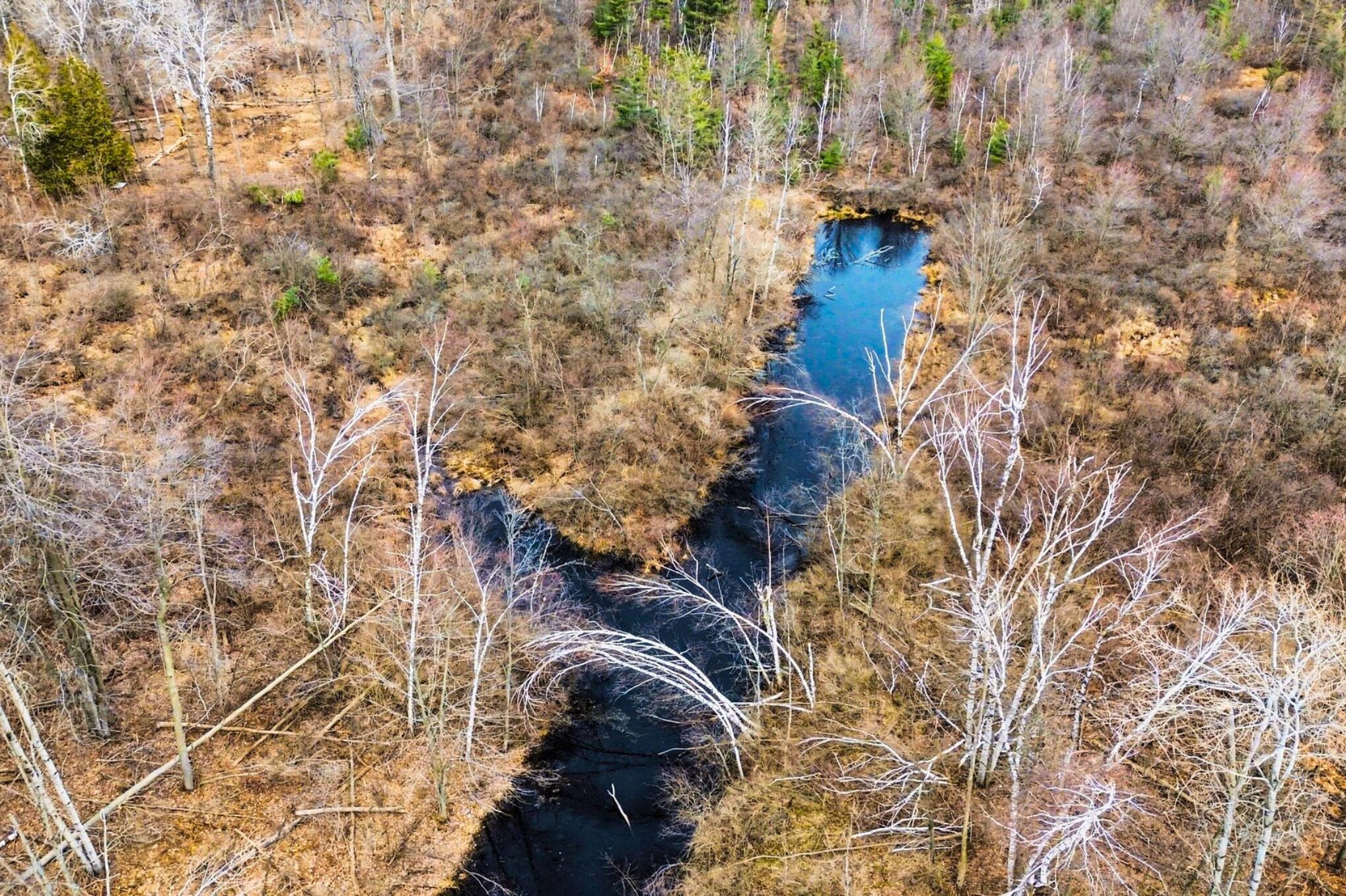 15726 30th Avenue Remus, MI 49340 - Photo 11 of 28 15726 30th Ave_ 11