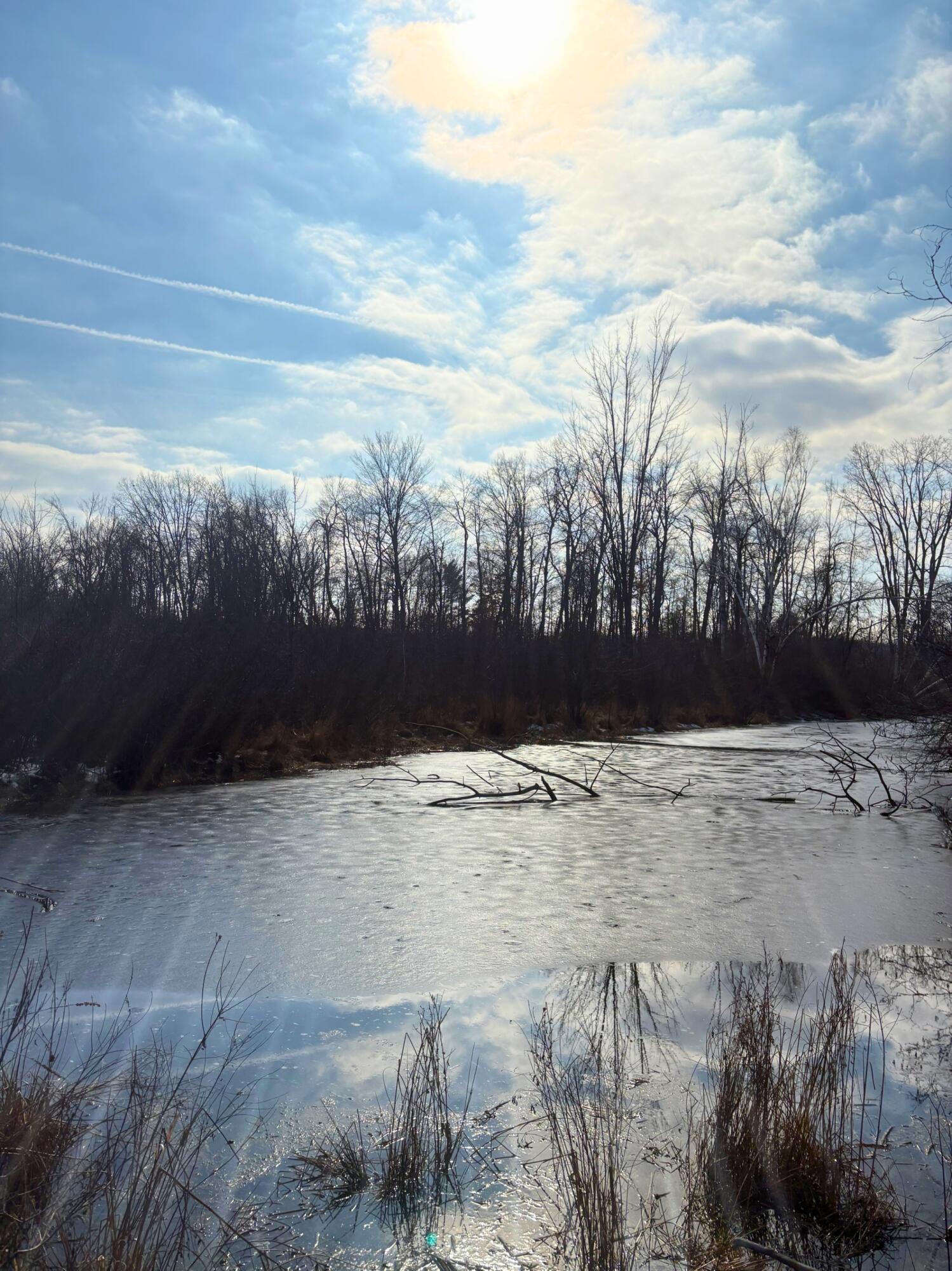 15726 30th Avenue Remus, MI 49340 - Photo 12 of 28 15726 _ 12 _ Pond View