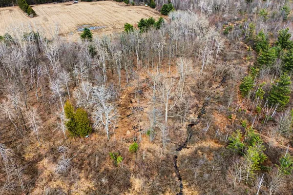 $225,000 | 15726 30th Avenue, Remus, MI 49340