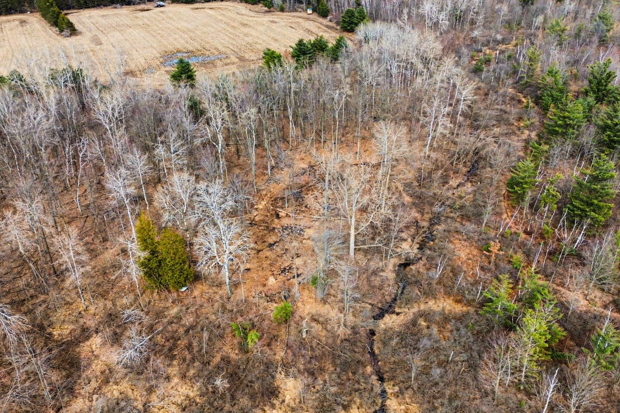 15726 30th Avenue Remus, MI 49340 - Photo 13 of 28 15726 30th Ave_ 13