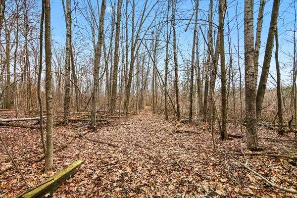 $225,000 | 15726 30th Avenue, Remus, MI 49340