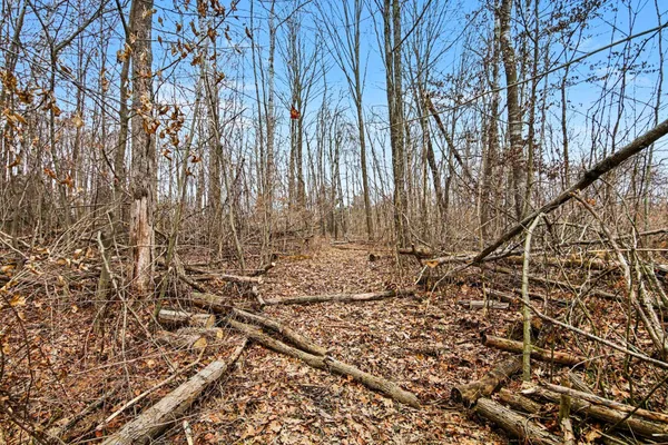 $225,000 | 15726 30th Avenue, Remus, MI 49340