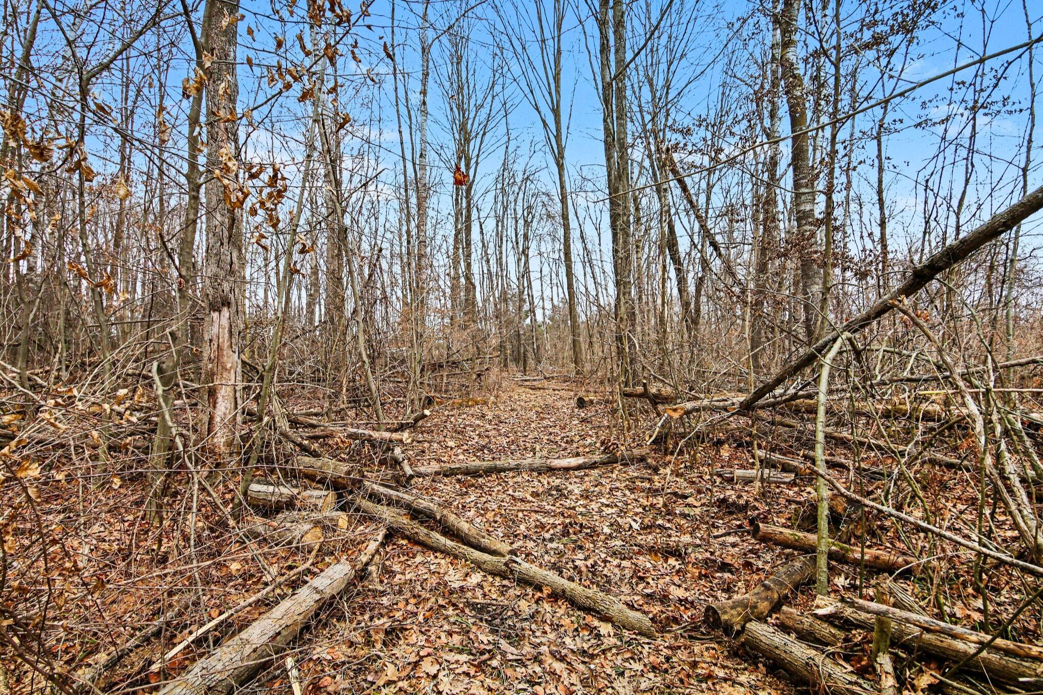 15726 30th Avenue Remus, MI 49340 - Photo 20 of 28 15726 30th Ave_ 20
