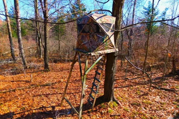 $225,000 | 15726 30th Avenue, Remus, MI 49340