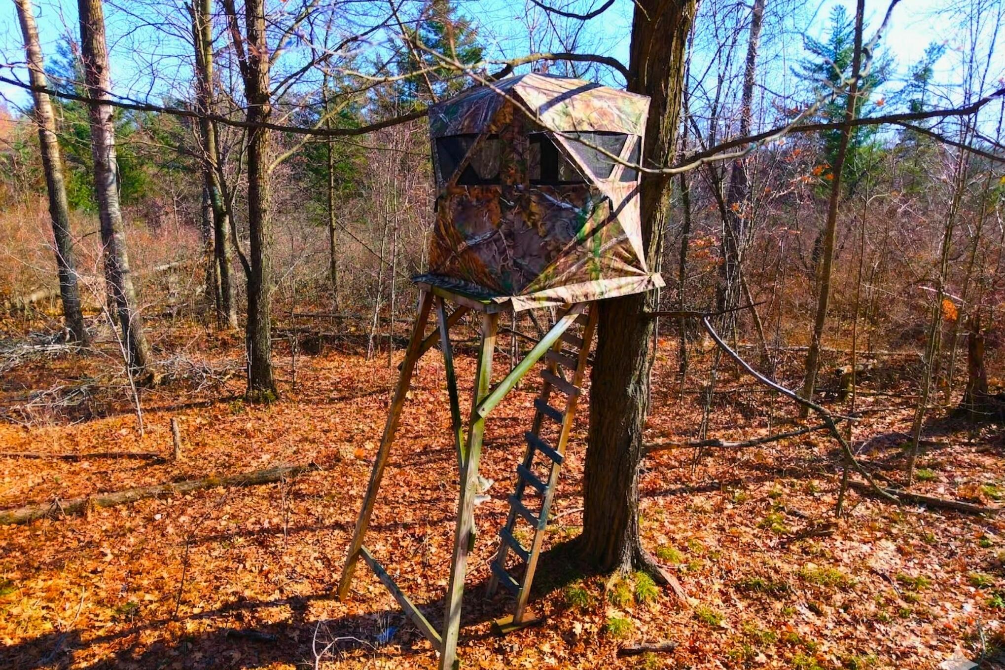 15726 30th Avenue Remus, MI 49340 - Photo 21 of 28 15726 30th Ave_ 21