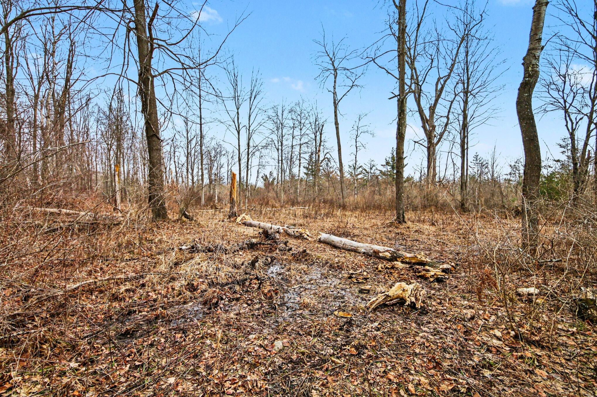 15726 30th Avenue Remus, MI 49340 - Photo 22 of 28 15726 30th Ave_ 22