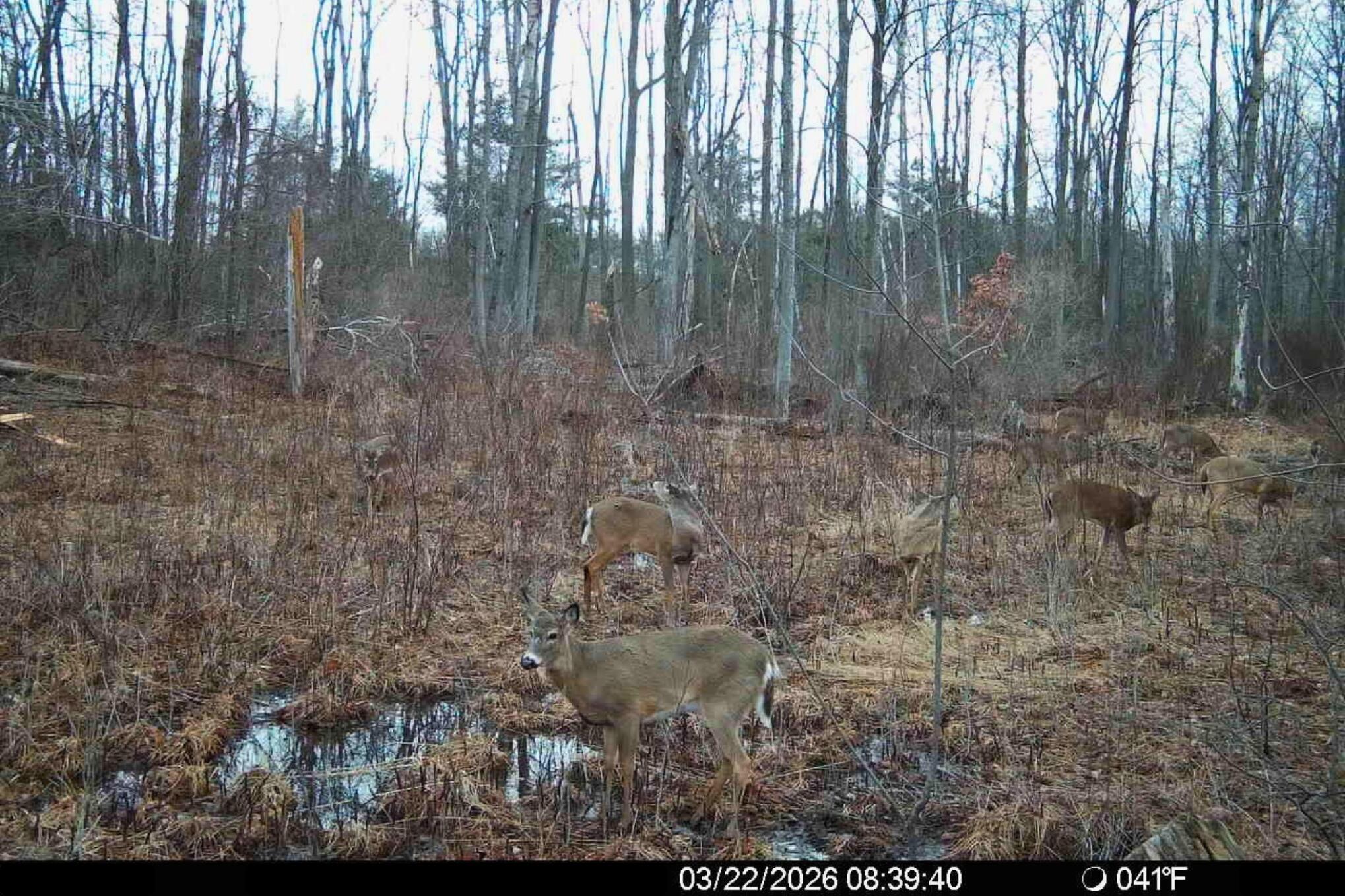 15726 30th Avenue Remus, MI 49340 - Photo 23 of 28 15726 30th Ave_ D1