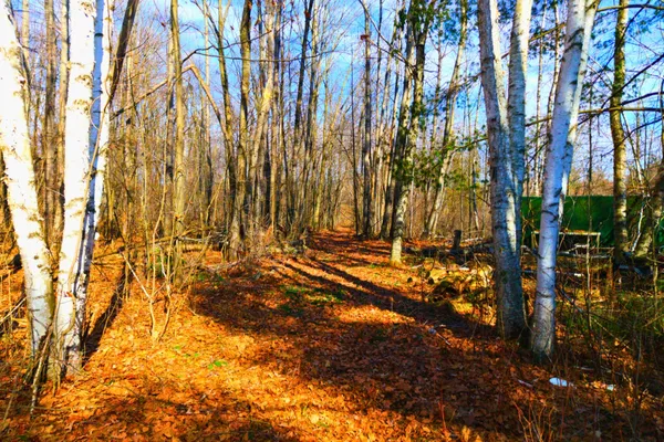 $225,000 | 15726 30th Avenue, Remus, MI 49340