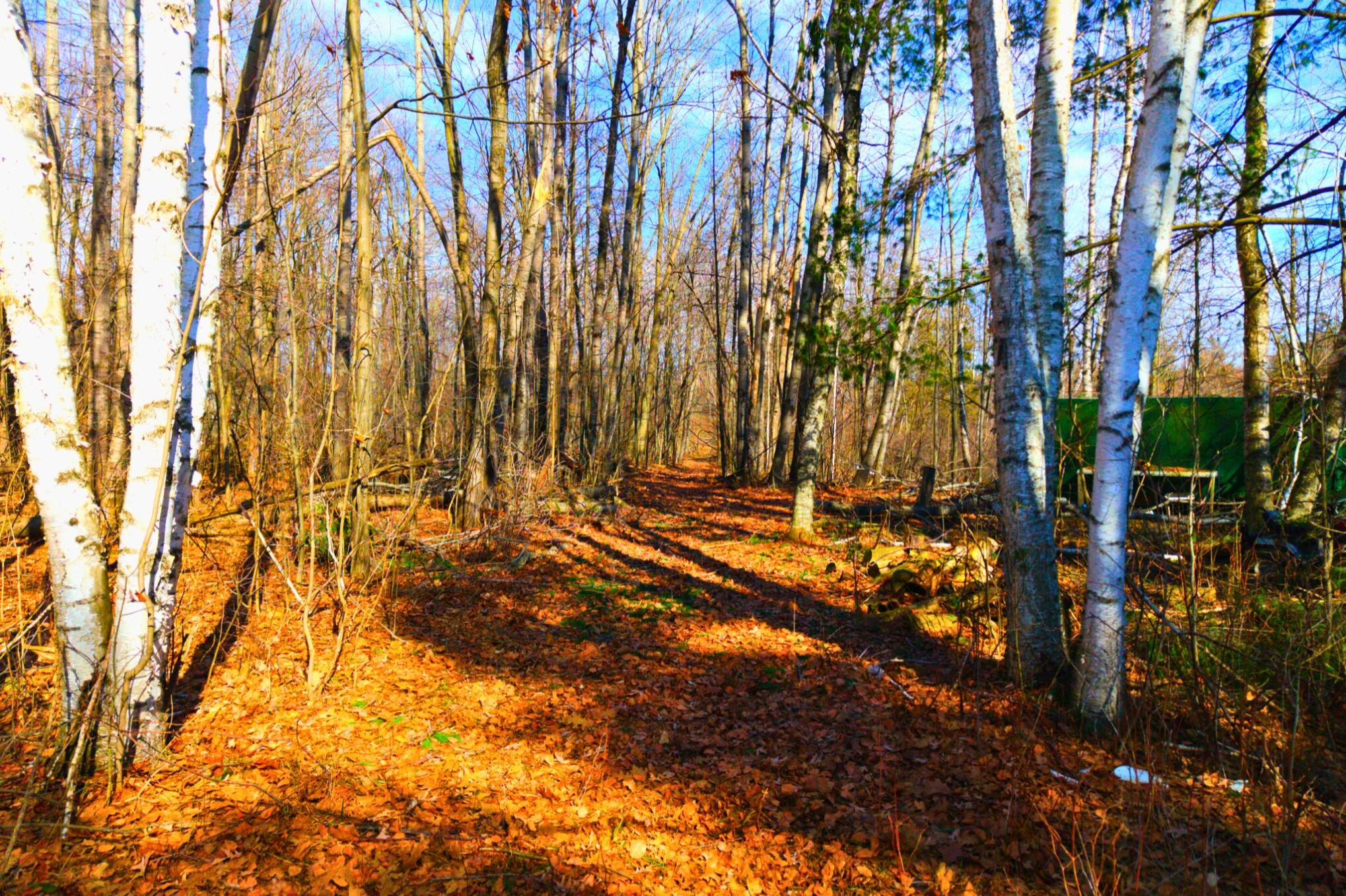 15726 30th Avenue Remus, MI 49340 - Photo 25 of 28 15726 30th Ave_ 25