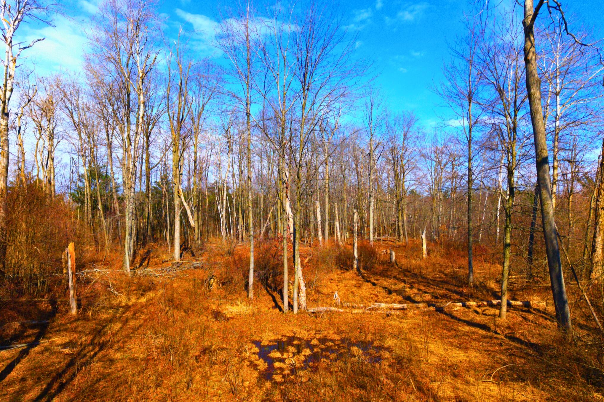 15726 30th Avenue Remus, MI 49340 - Photo 26 of 28 15726 30th Ave_ 26