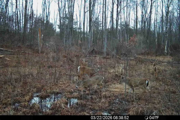 $225,000 | 15726 30th Avenue, Remus, MI 49340