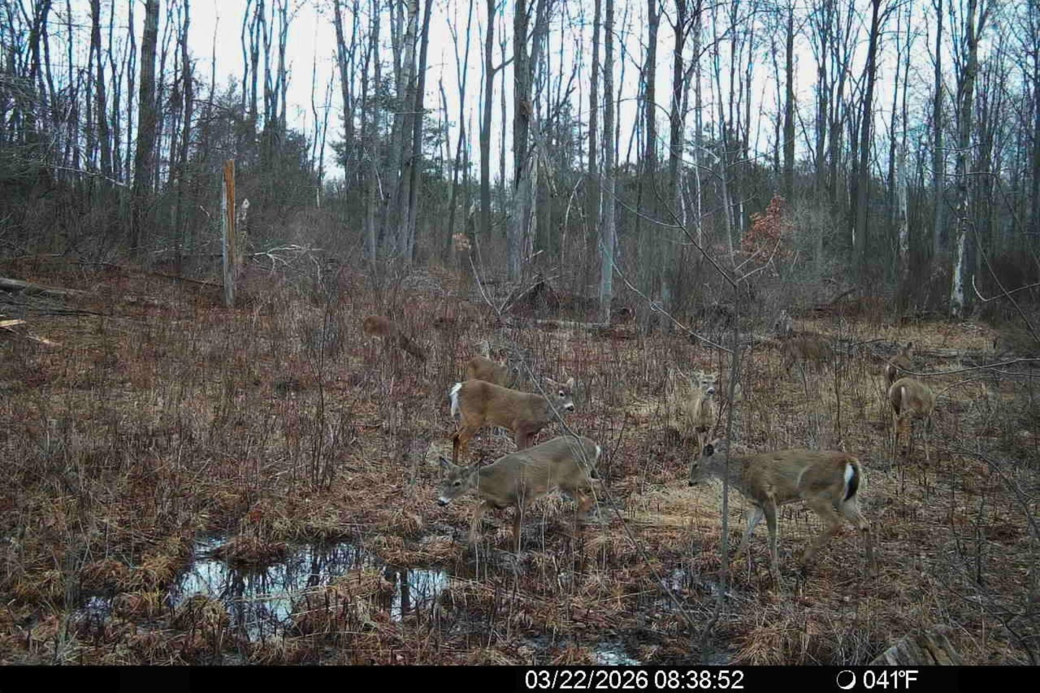 15726 30th Avenue Remus, MI 49340 - Photo 27 of 28 15726 30th Ave_ D2