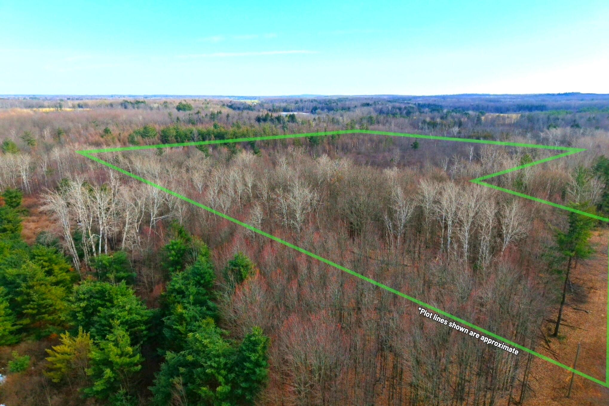 15726 30th Avenue Remus, MI 49340 - Photo 7 of 28 15726 30th Ave_ 7