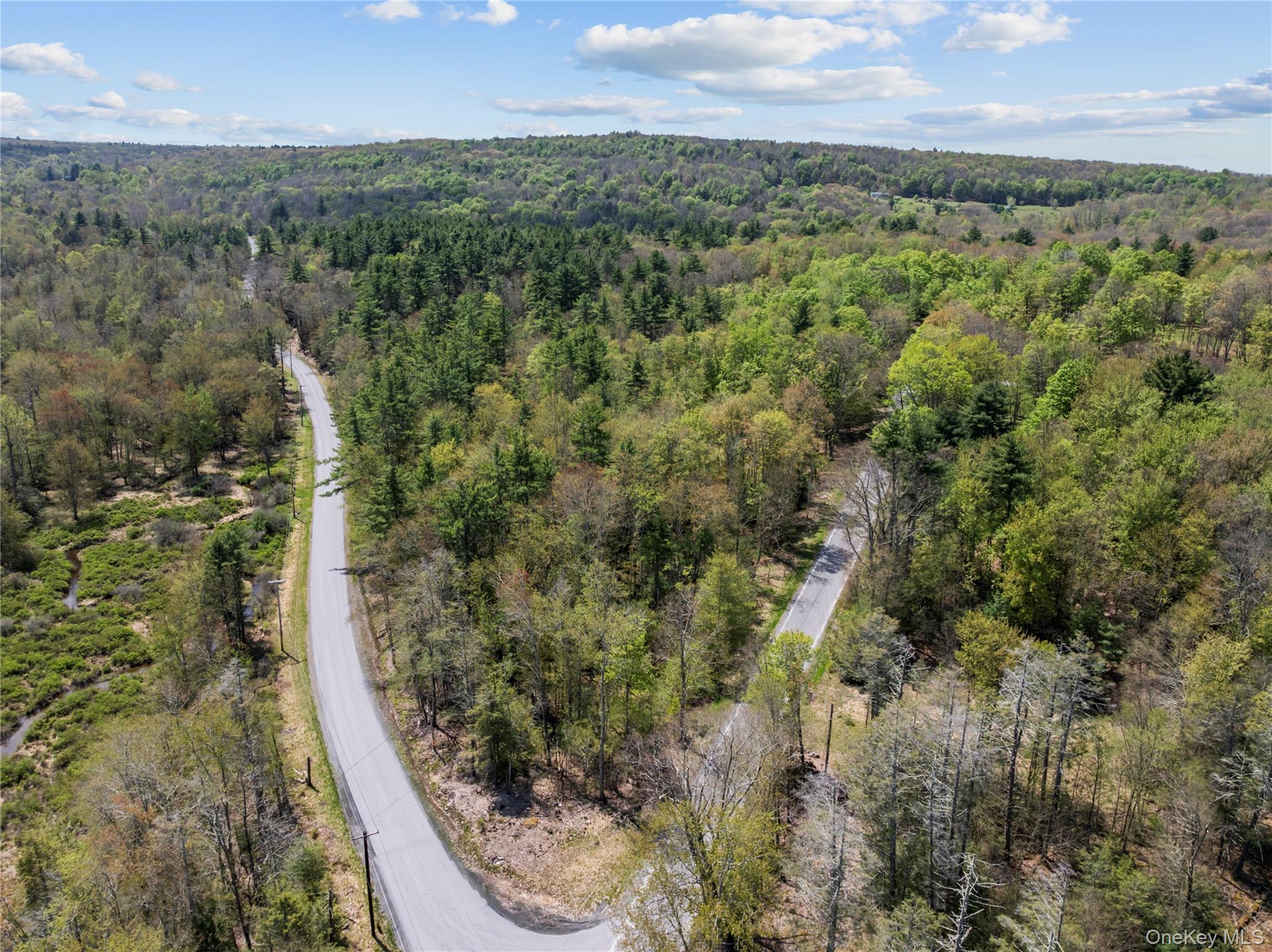 Church Road Fallsburg, NY 12733 - Photo 6 of 12