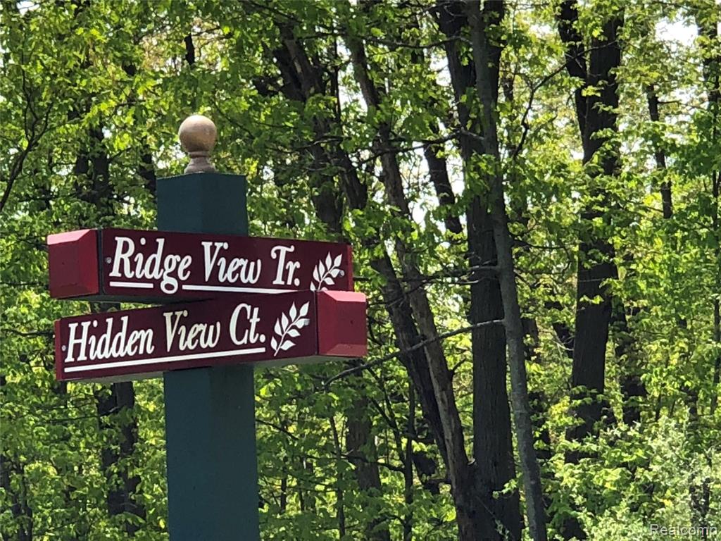 Vl Ridge View Trail Fenton, MI 48430 - Photo 5 of 7