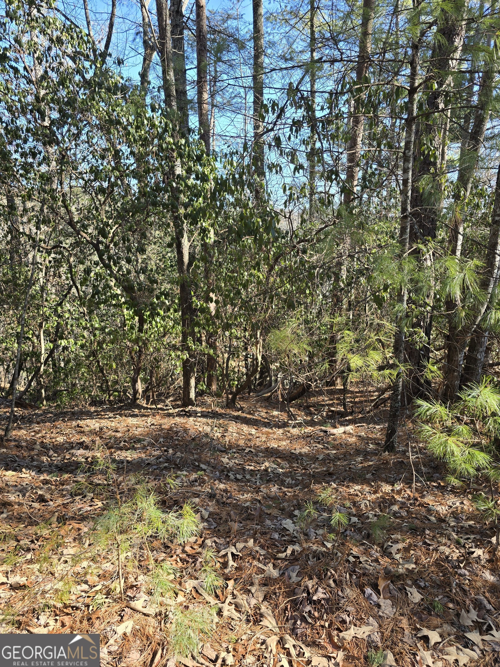 45 K Blue Ridge Drive Sautee Nacoochee, GA 30571 - Photo 2 of 17 a view of a yard with a tree