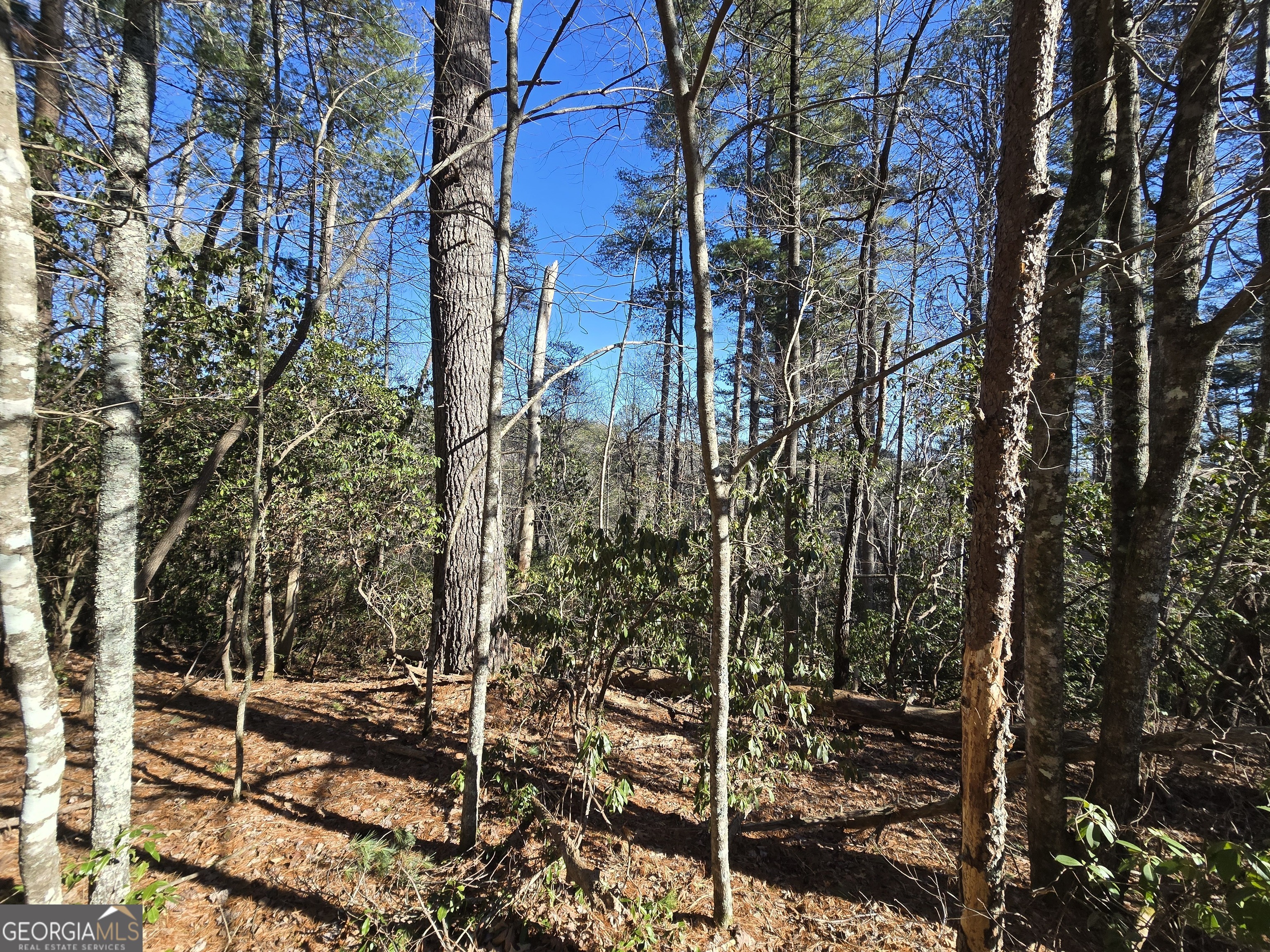 45 K Blue Ridge Drive Sautee Nacoochee, GA 30571 - Photo 3 of 17 a view of a house with a tree