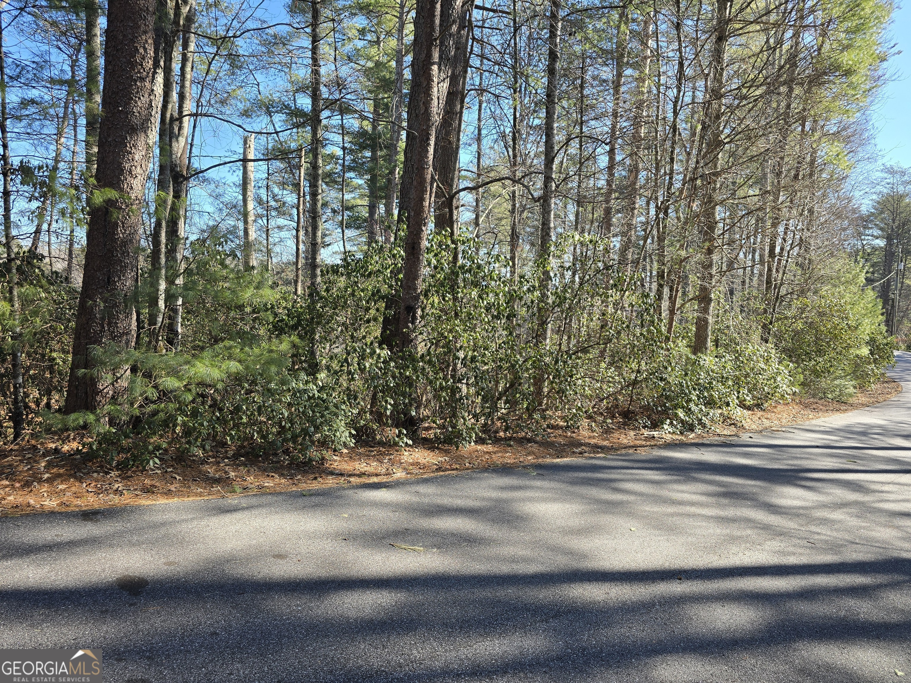 45 K Blue Ridge Drive Sautee Nacoochee, GA 30571 - Photo 4 of 17 a view of a yard along with trees