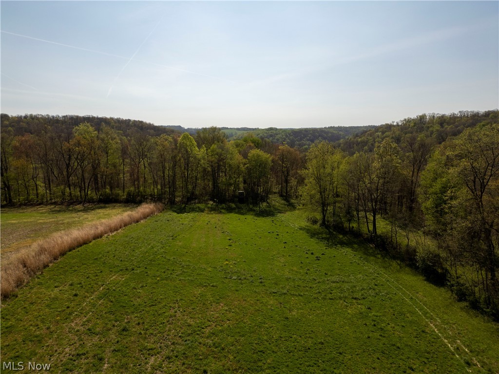 80960 Burkhart Road Tippecanoe, OH 44699 - Photo 27 of 50