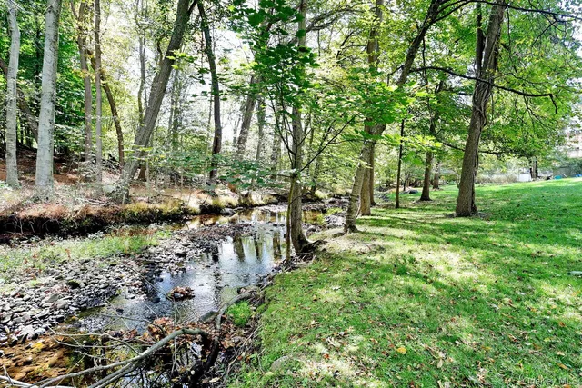 a view of backyard with green space
