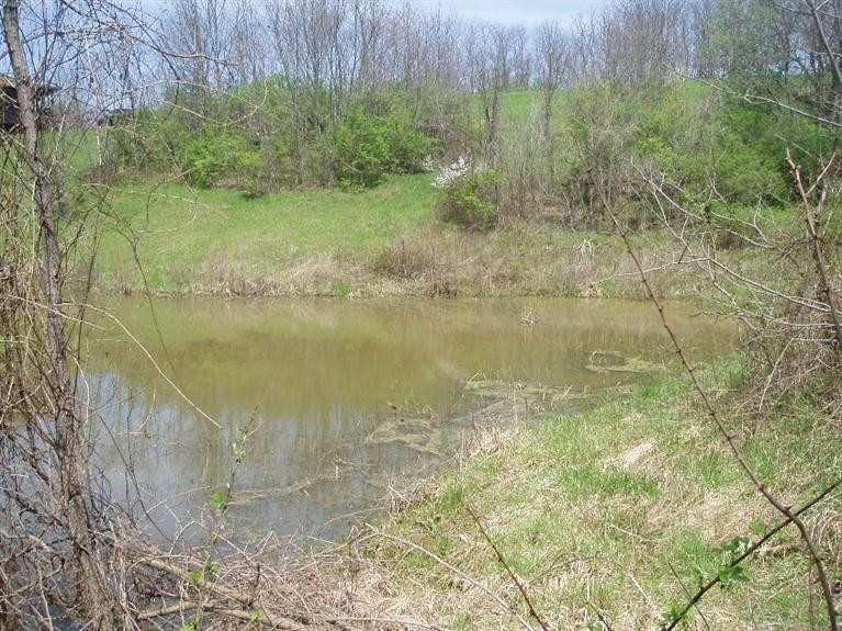 4100 Lenoxburg Foster Road Foster, KY 41043 - Photo 4 of 13 Gallery Image 4