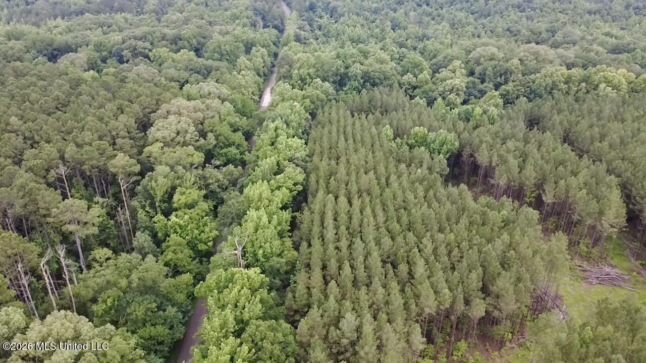 8119 Dry Grove Road Raymond, MS 39154 - Photo 39 of 45 2026-06-08-17-36-18-276