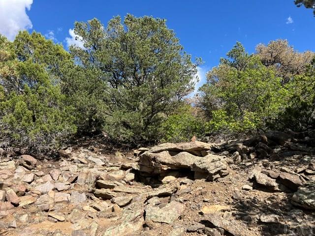 96 River Ridge Trail Walsenburg, CO 81089 - Photo 16 of 28