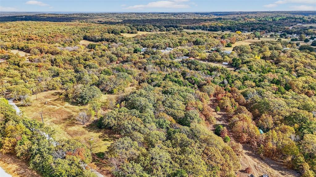 Lot 1 Locust Road Pottsboro, TX 75076 - Photo 13 of 21