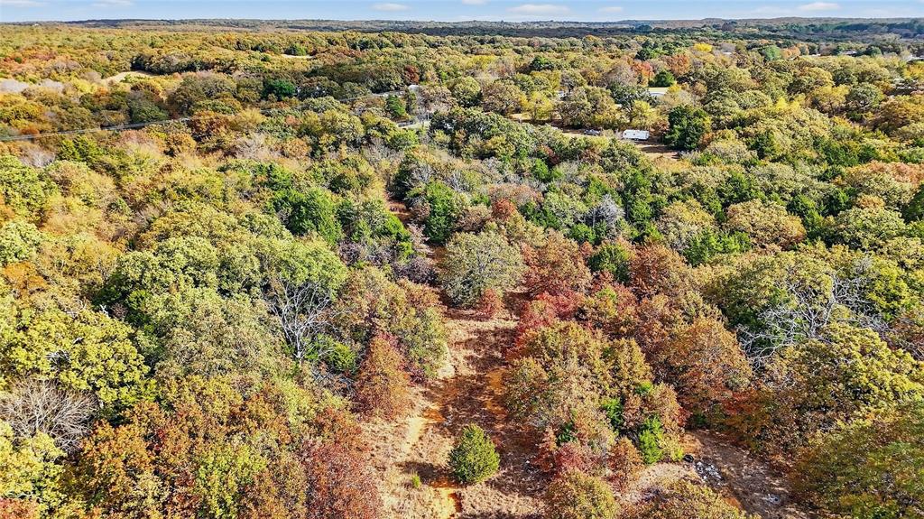 Lot 1 Locust Road Pottsboro, TX 75076 - Photo 18 of 21 a view of a yard