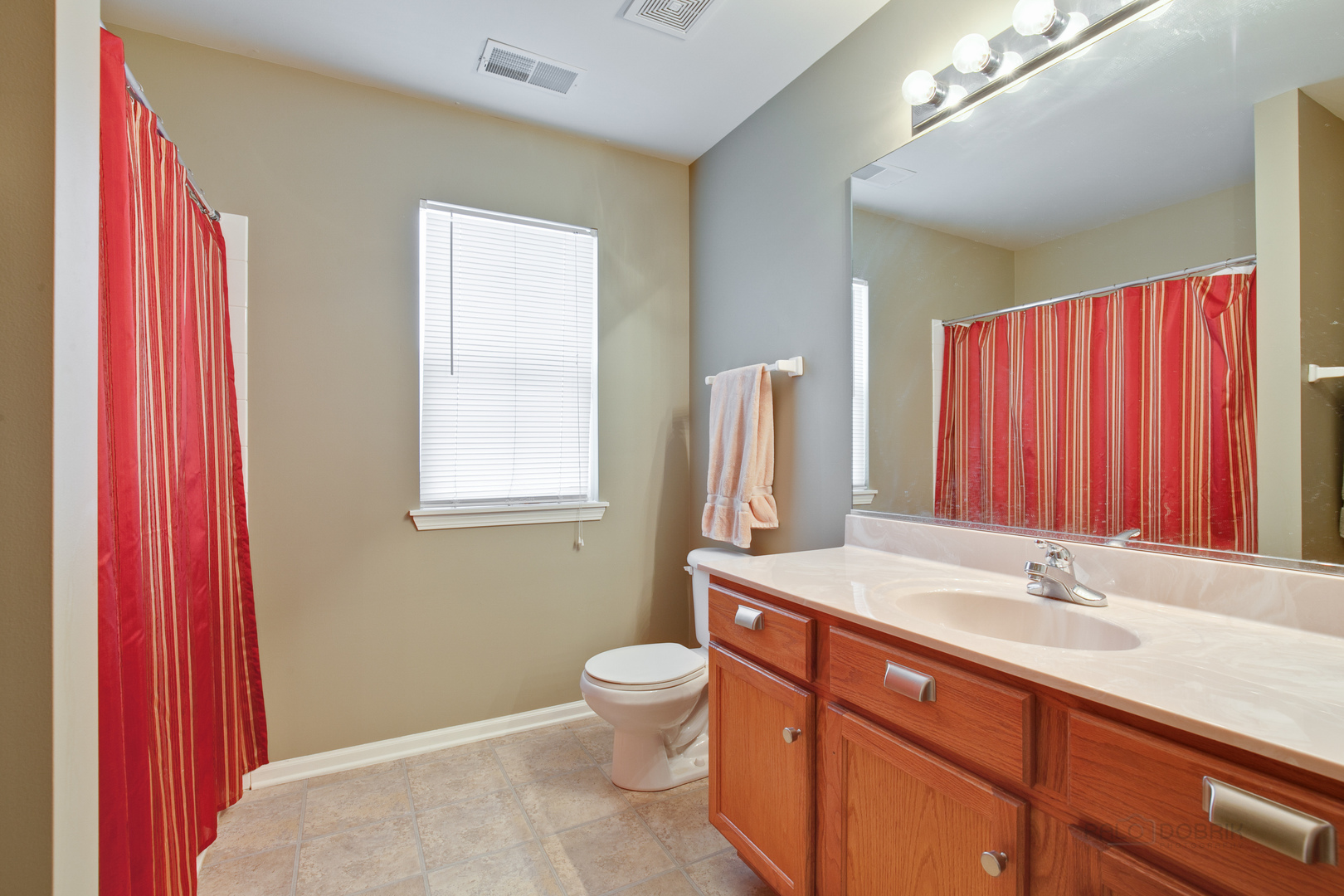 253 West Biros Lane Round Lake, IL 60073 - Photo 22 of 36 a bathroom with a toilet a sink and a mirror