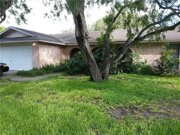 a view of a yard in front of a house with large tree