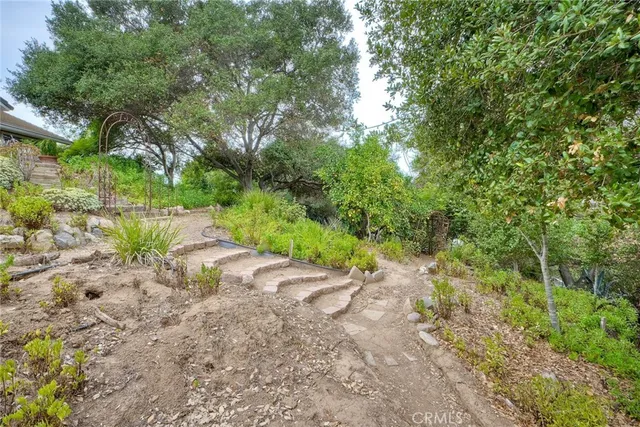 a view of a forest with trees