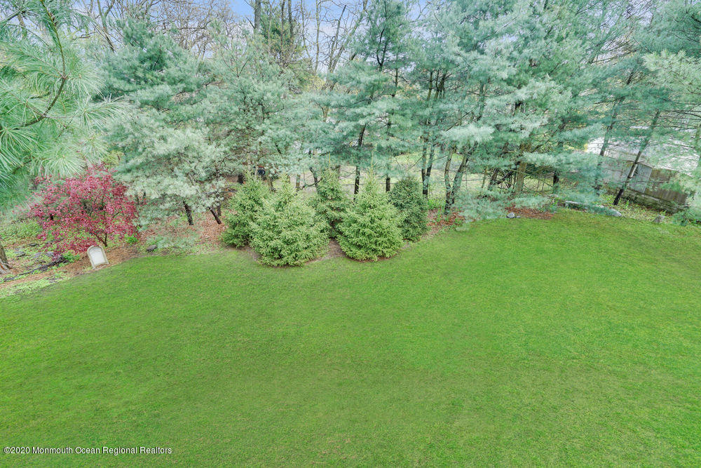 16 Woods Road West Long Branch, NJ 07764 - Photo 36 of 38 a lush green forest with lots of trees
