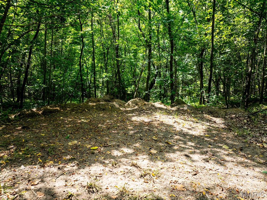 38692 Monroe Road Stoutsville, MO 65283 - Photo 68 of 72 Gallery Image 68