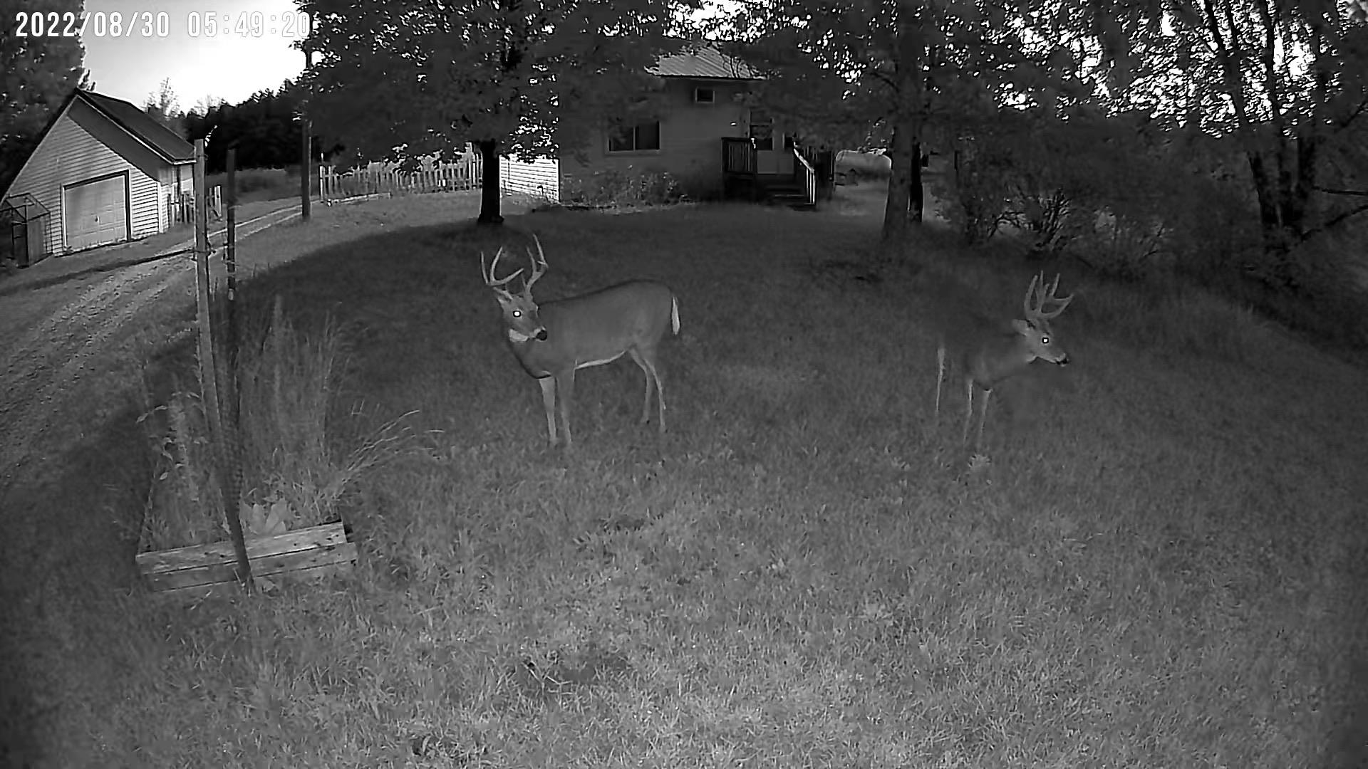 1128 County Rd C Arkdale, WI 54613 - Photo 30 of 57