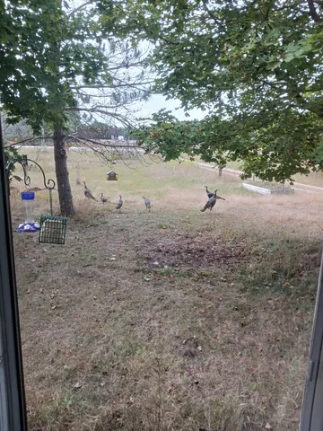 $237,000 | 1128 County Rd C, Arkdale, WI 54613