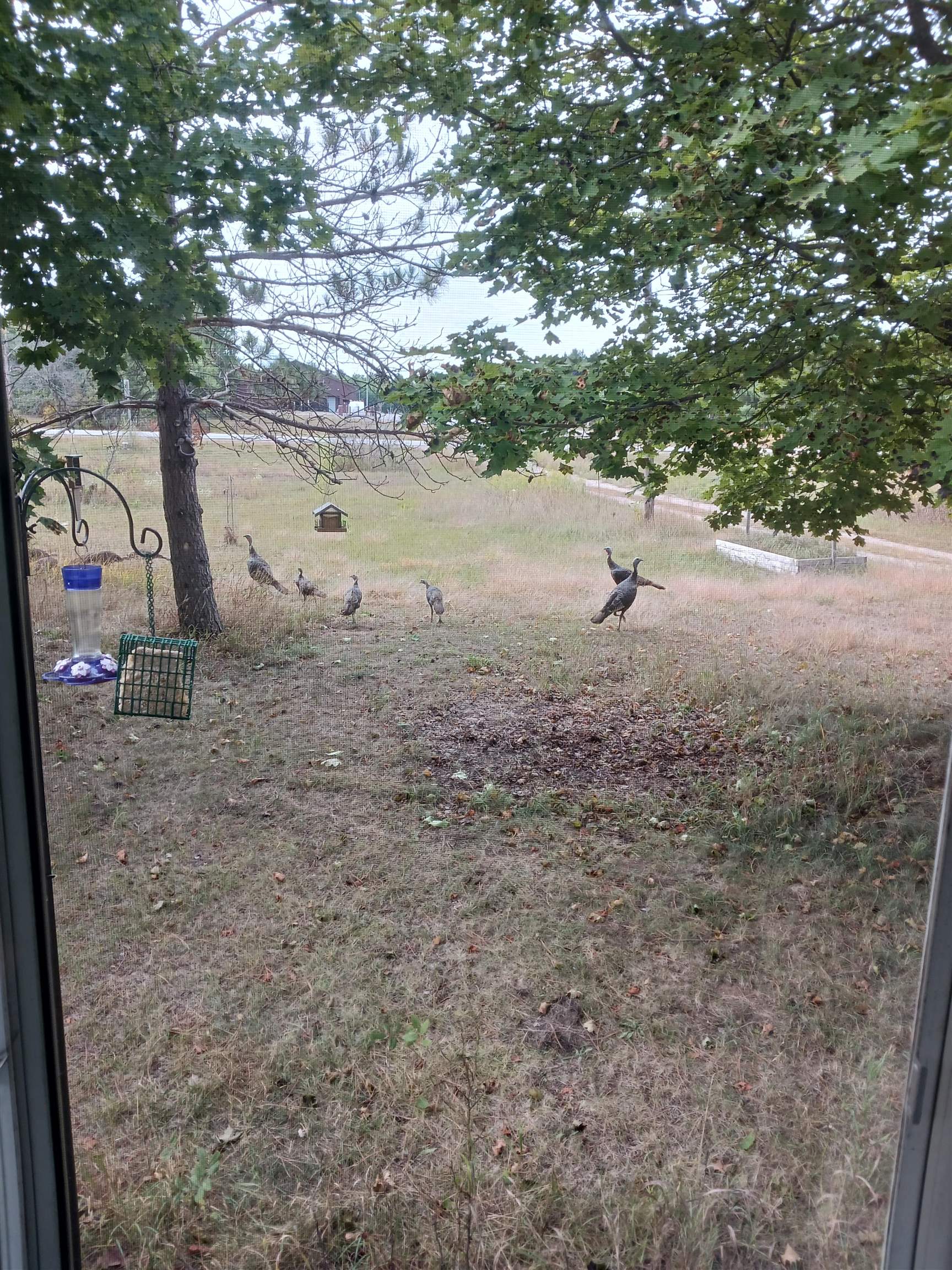 1128 County Rd C Arkdale, WI 54613 - Photo 31 of 57