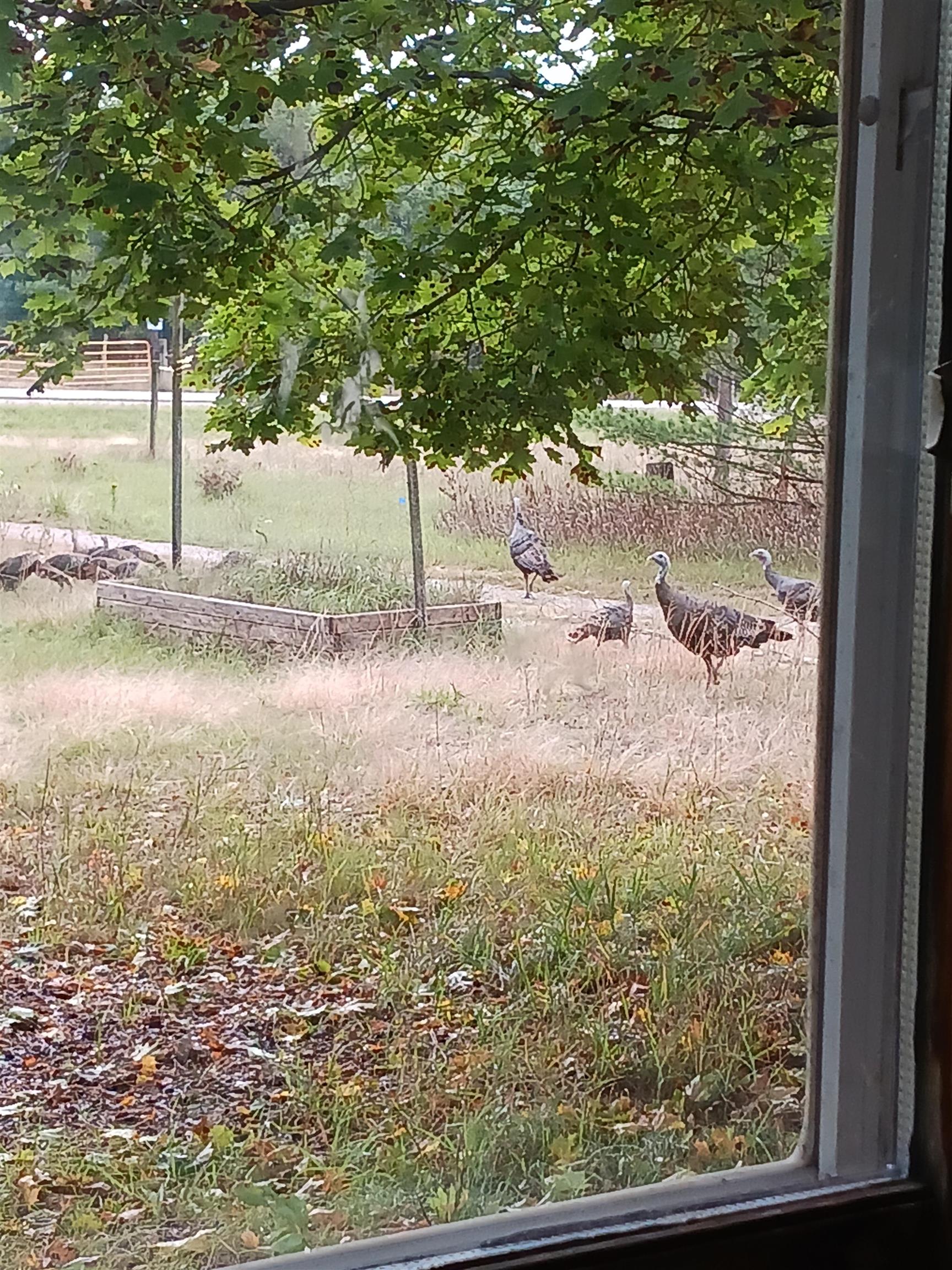 1128 County Rd C Arkdale, WI 54613 - Photo 32 of 57