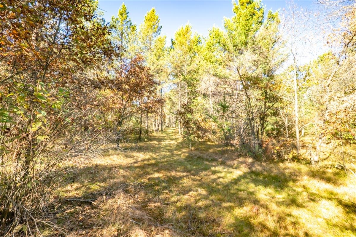 1128 County Rd C Arkdale, WI 54613 - Photo 34 of 57