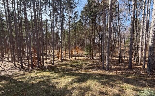 5088 Buck Road Williamsburg, MI 49690 - Photo 12 of 46 IMG_6957 (1)