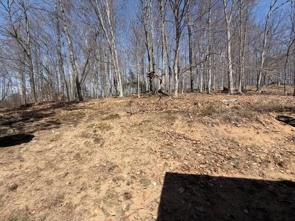 $329,900 | 5088 Buck Road, Williamsburg, MI 49690