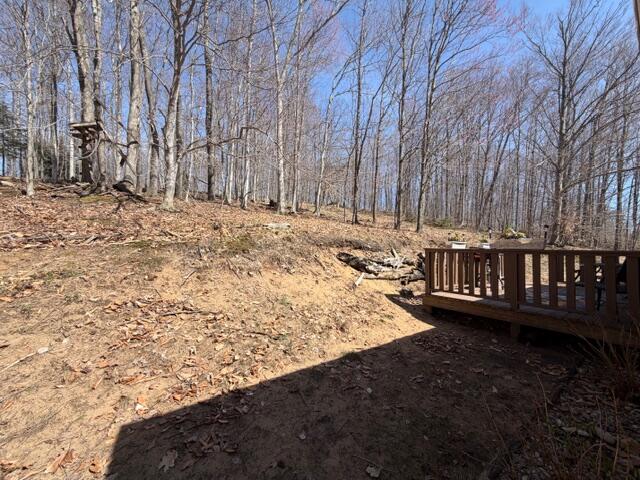 5088 Buck Road Williamsburg, MI 49690 - Photo 10 of 46 IMG_6960 (1)