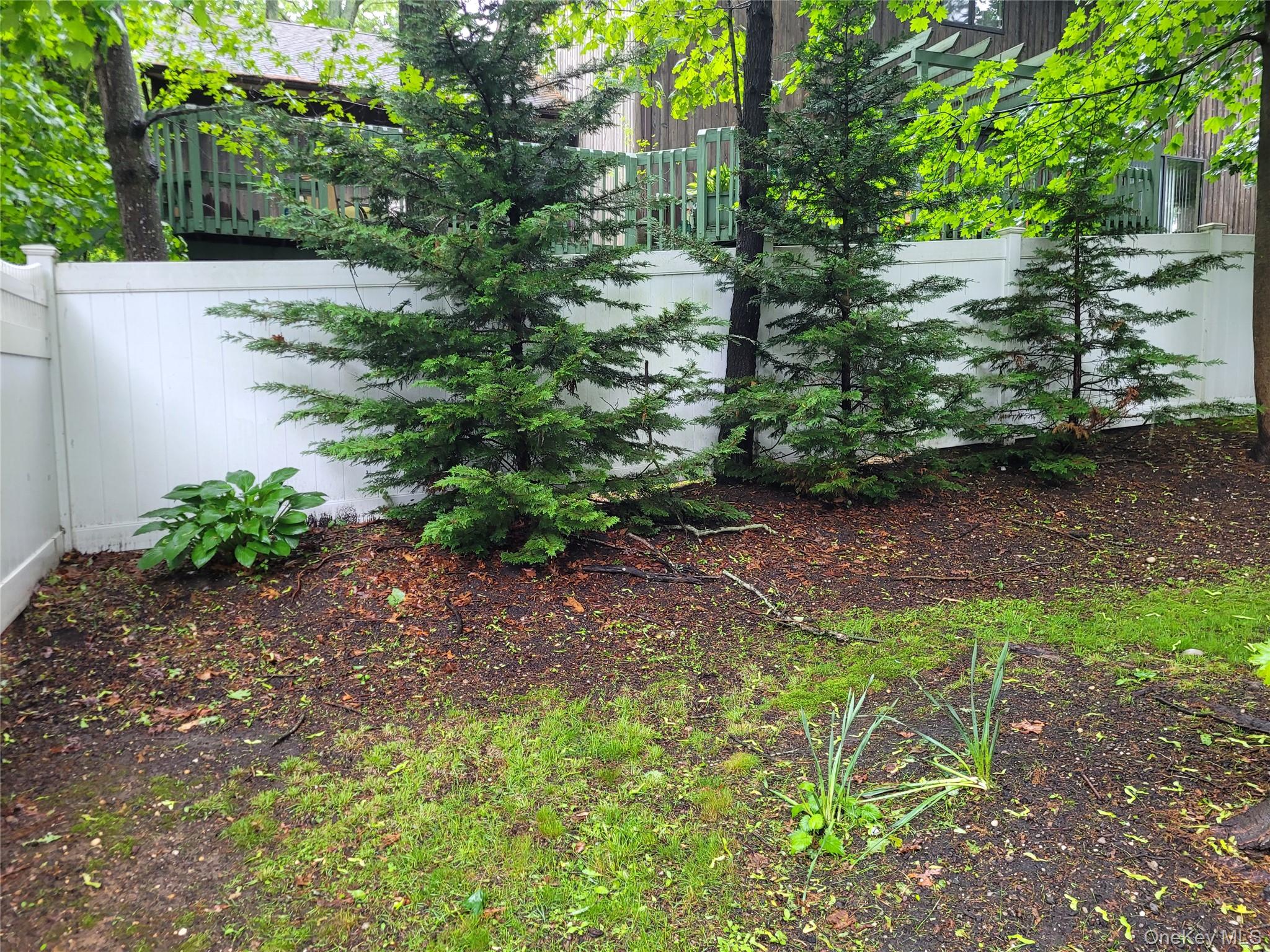 31 Apricot Road Rocky Point, NY 11778 - Photo 14 of 31 View of yard