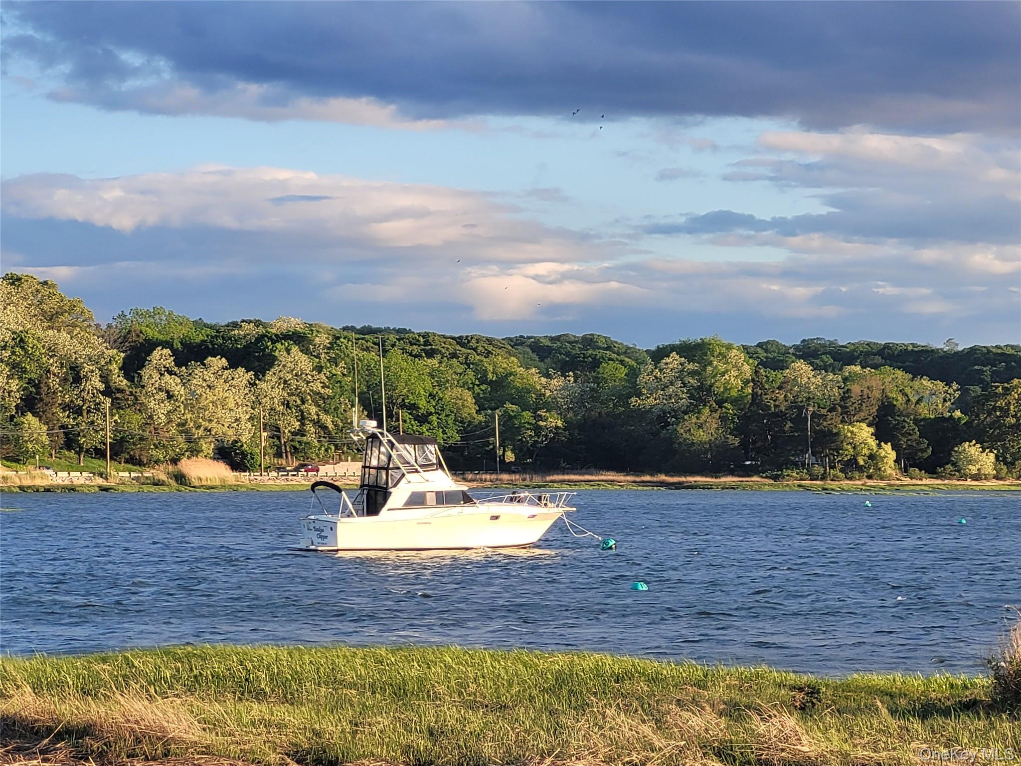 31 Apricot Road Rocky Point, NY 11778 - Photo 30 of 31 Water view with a heavily wooded area and a floating dock